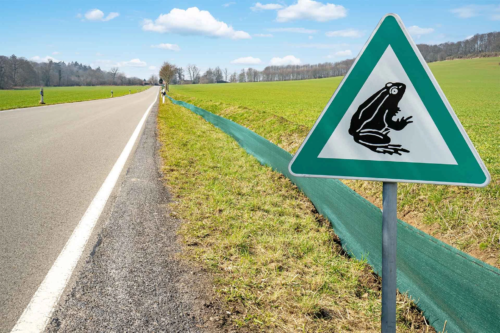Landstrasse mit Kroetenzaun und Warnschild mit der Aufschrift Kroetenwanderung [Foto: AdobeStock_Countrypixel]