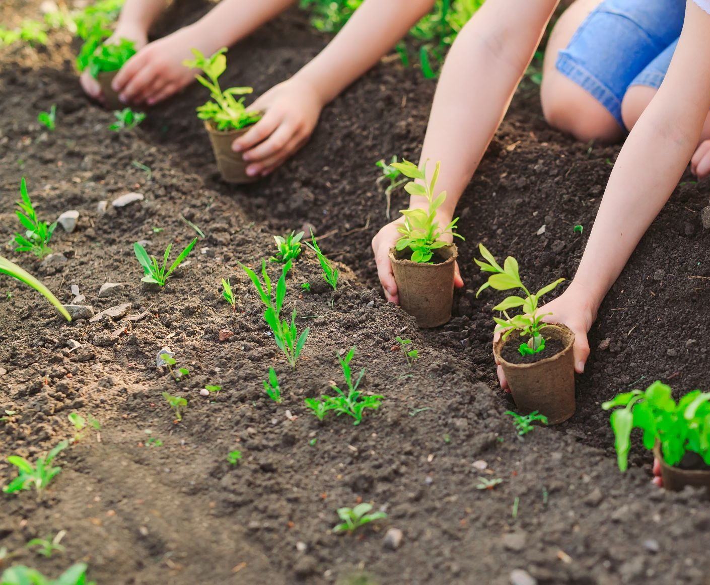 Gärtnern mit Kindern Die Kleinen für Pflanzen begeistern GartenFlora