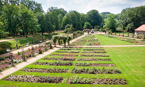 Ostdeutscher Rosengarten