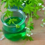 Ein kleines Glas Waldmeistersirup steht auf einem Holztisch neben frisch gepflücktem Waldmeister. An dem Kraut sind weisse Blüten zu sehen. [Foto: AdobeStock_rainbow33]