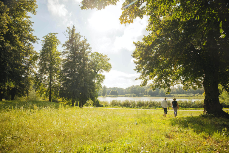 Rasen sprengen Die richtige Bewässerung GartenFlora