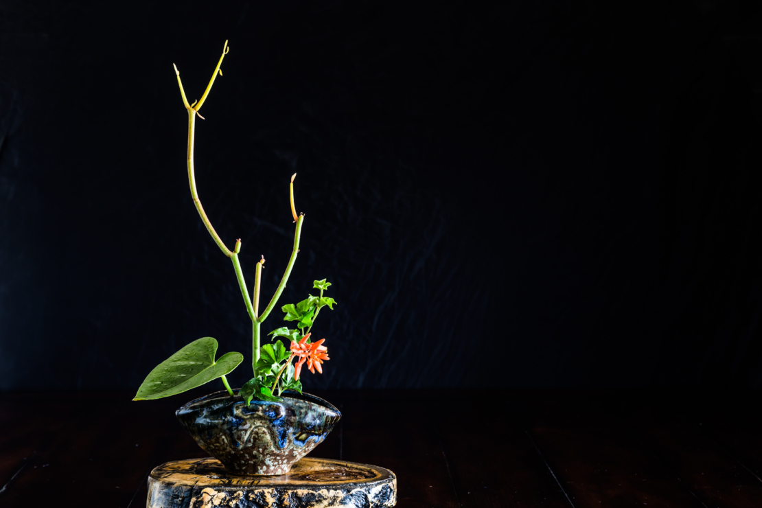 Ikebana vor schwarzem Hintergrund, in einer traditionellen japanischen Vase. Foto: AdobeStock_Satoshi Kina