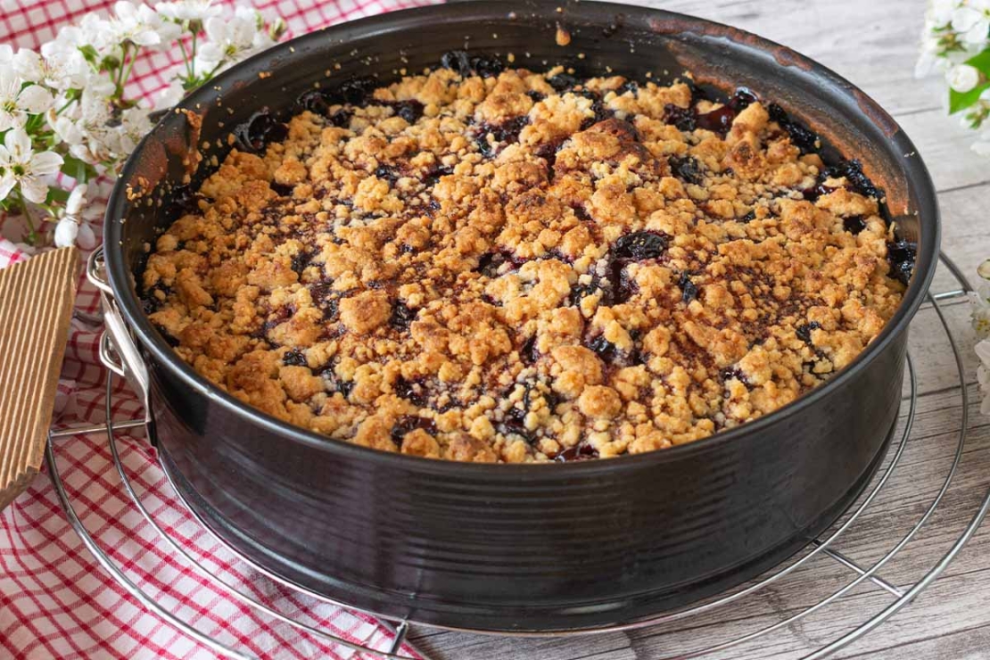 Kirschkuchen in einer Springform auf einem Kuchengitter [Foto: AdobeStock_Angelika Heine]