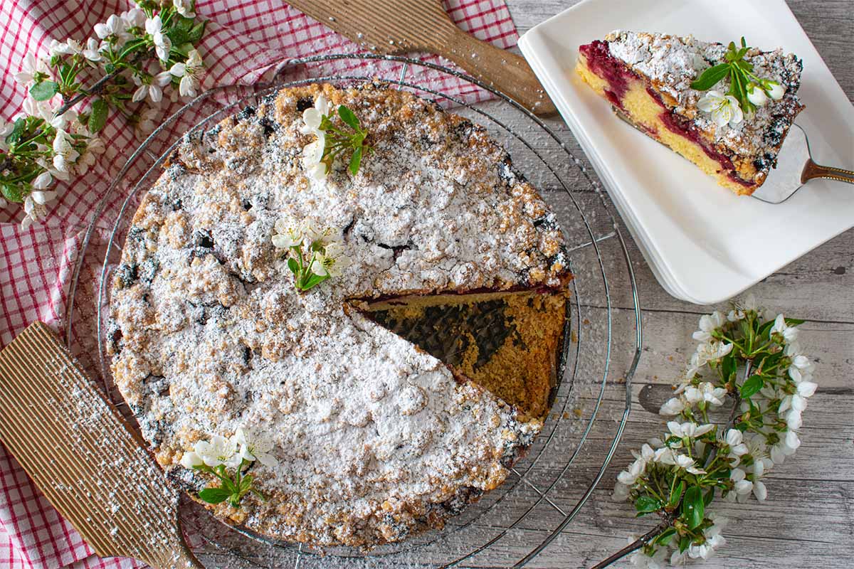 Kirschkuchen mit Puderzucker auf einem Kuchengitter [Foto: AdobeStock_Angelika Heine]