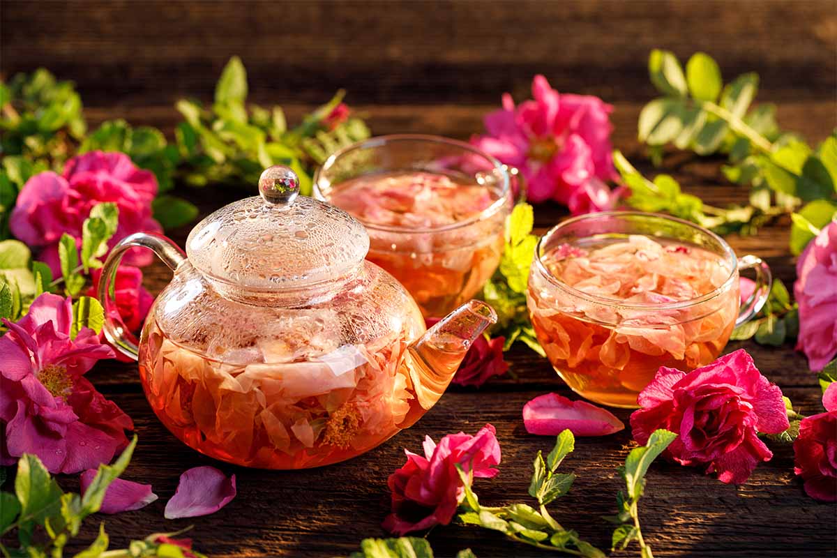 Hier wird aus Rosenblueten Tee zubereitet. Kanne steht neben Tassen auf einem Tisch. [Foto: AdobeStock_pbd Studio]
