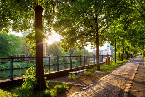 Eine Baumreihe am Uferweg an der Spree in Berlin-Moabit. Foto: AdobeStock_spuno