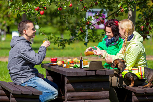 Picknick im Pomologischen Schau- und Lehrgarten Döllingen