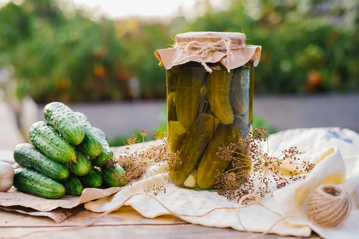 Gurken stehen in einem Einmachglas auf einem Gartentisch [Foto: AdobeStock_Cherkasova-Alie]