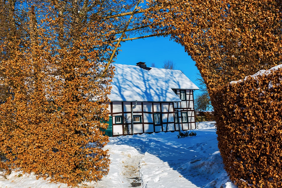 Torbogen einer Buchenhecke. In der Mitte des Torbogens steht ein verschneites Fachwerkhaus. Foto: AdobeStock_Christian Müller