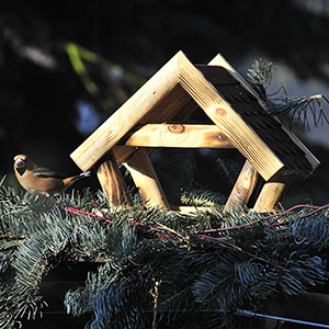 Ein kleines Vogelhäuschen aus Holz auf einer mit Reisig abgedeckten Erhöhung im Winter. Links sitzt ein Buchfink. Foto: GartenFlora
