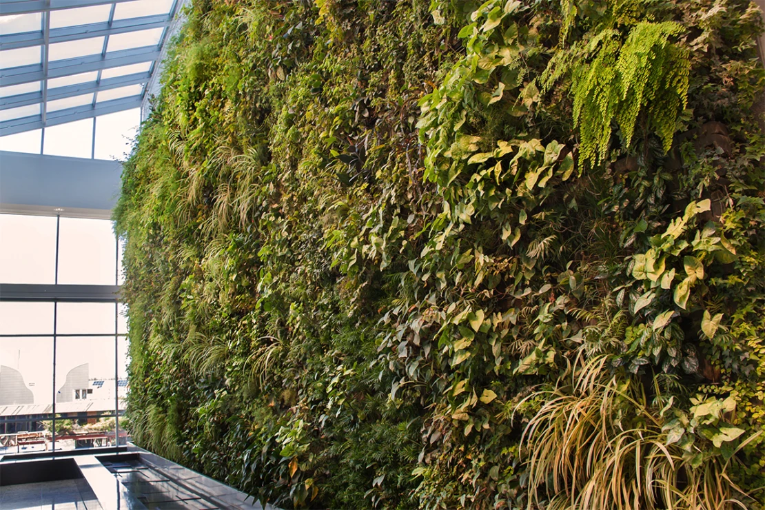 Ein Vertikalgarten im Innenraum verbessert Luftqualität und Wohlbefinden. Foto: AdobeStock_svetlana