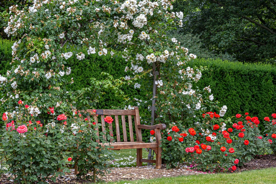 kleinen Garten gestalten Foto: AdobeStock_Mikespixels