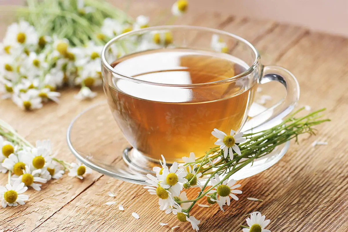 Kamillentee in einer Tasse aus Glas auf einem Tisch mit Kamillenblüten [Foto: AdobeStock_teatian]
