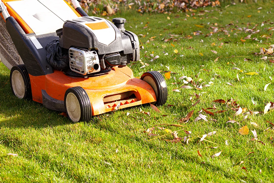 Rasenpflege: Ein mit etwas Herbstlaub bedeckter Rasen wird mit einem orangefarbenen Rasenmäher bearbeitet. Foto: AdobeStock_Sasha