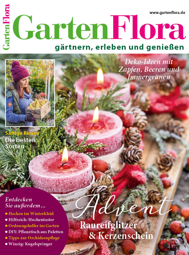 Titel GF 23_12