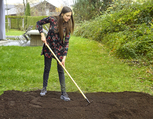 Eine junge Frau harkt eine Fläche im Garten für die Rasenaussaat. 