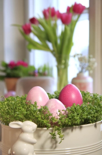 Pink gefärbte Eier mit Cochenille und Blaukraut