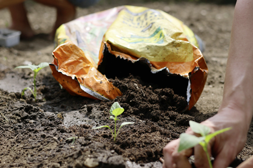 Ein geöffneter Sack mit torffreier Erde in einem Beet, das bepflanzt wird. 