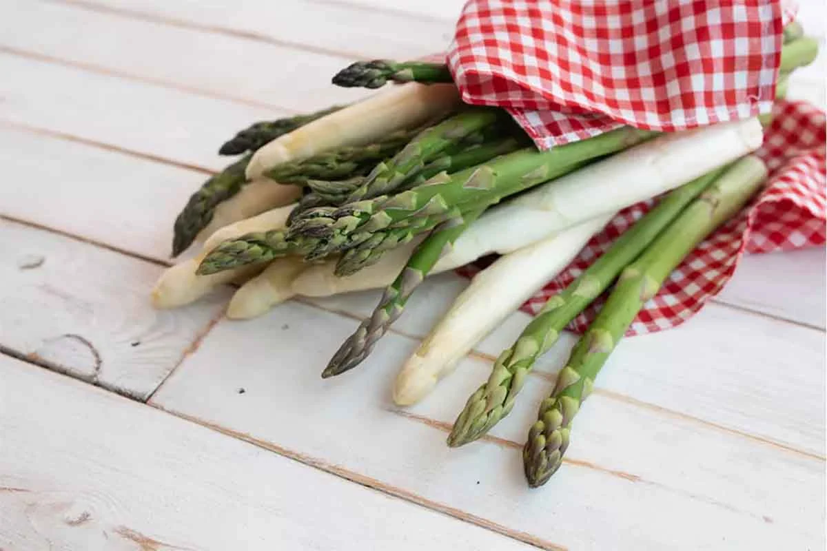 Spargelquiche wird hier aus grünen und weißen Stangen zubereitet [Foto: AdobeStock_gudrun]