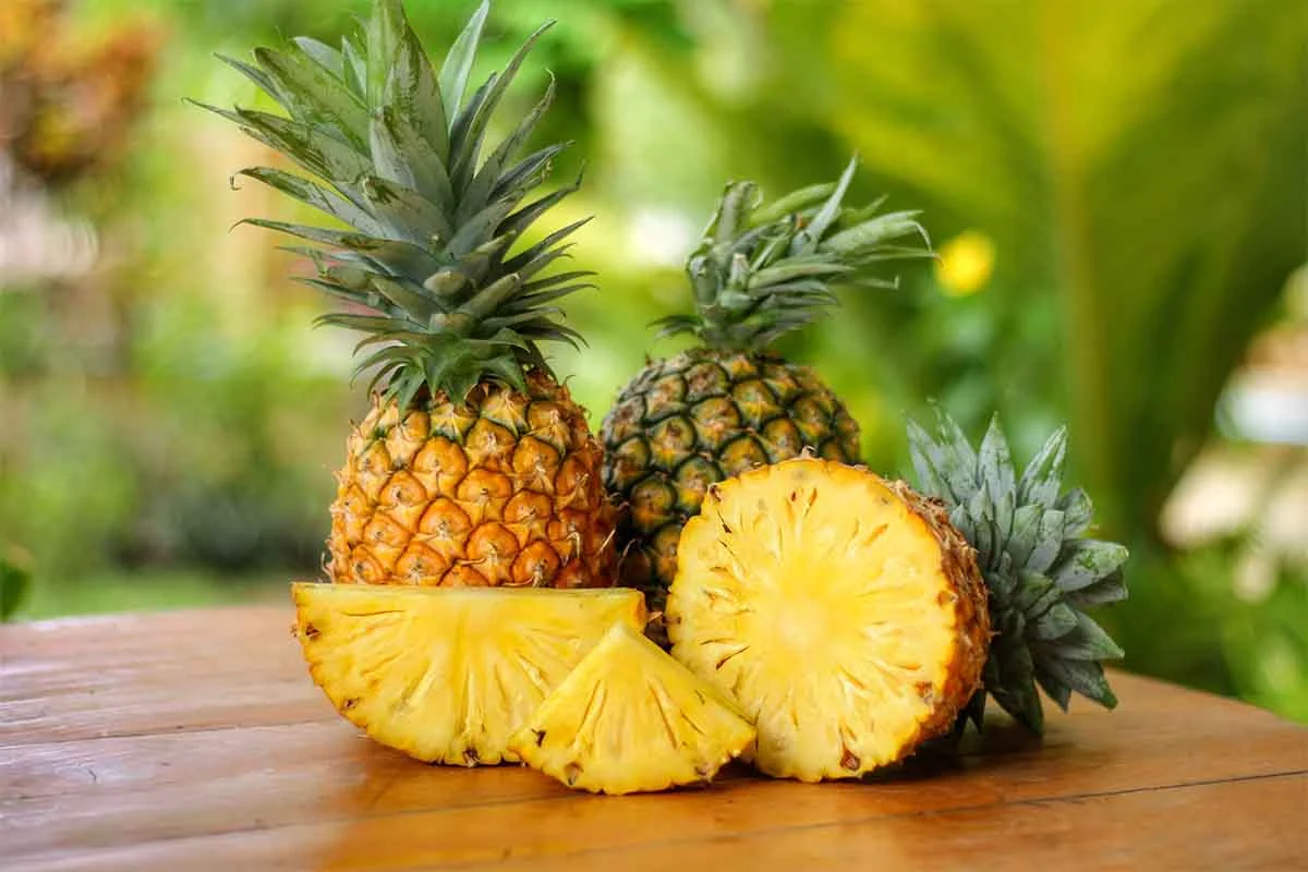 Ananas aufgeschnitten und ganz auf einem Tisch in einem sommerlichen Garten [Foto: AdobeStock_Kotchakorn]