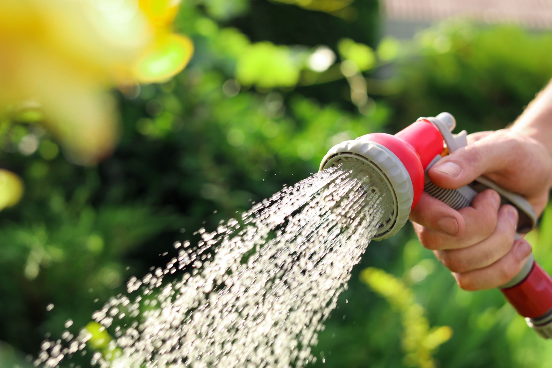 Urlaubsbewässerung So bleibt Ihr Garten gut GartenFlora