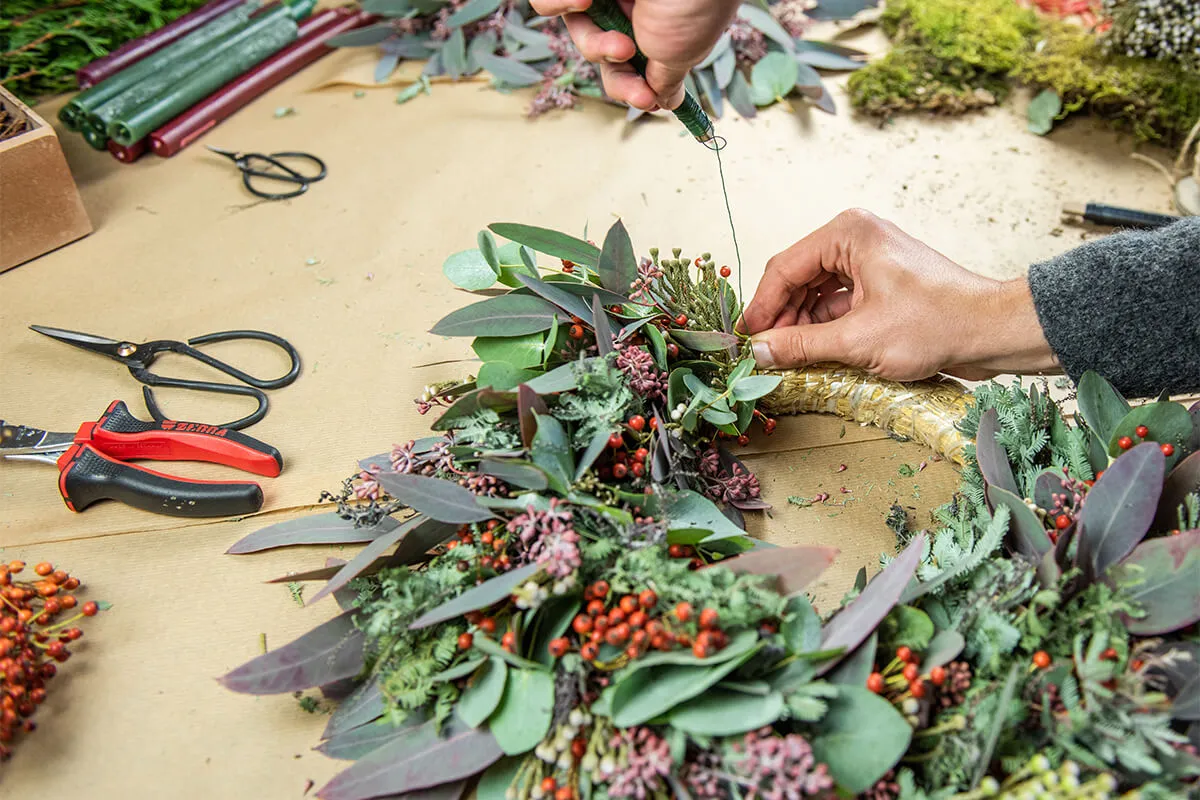 Adventskranz mit Eukalyptus wird auf einen Strohkranz gebunden [Foto: AdobeStock_Knipseria]