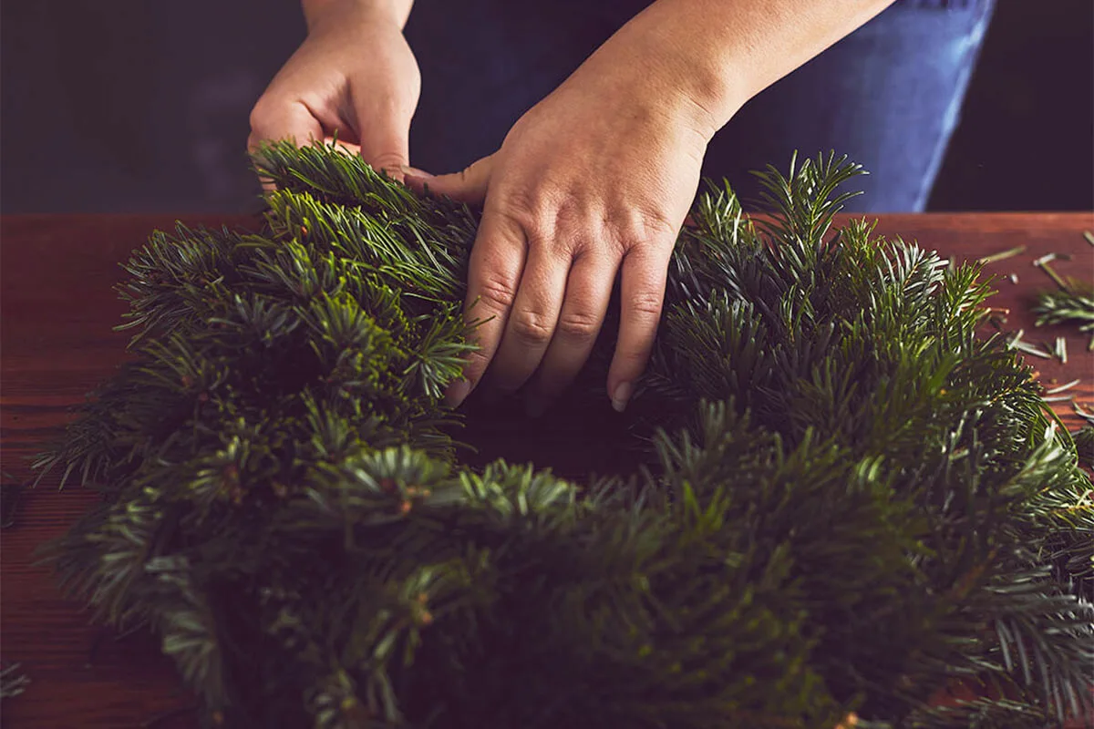Tannengrün wird an den Adventskranz gebunden und gefestigt. [Foto: AdobeStock_Rostislav-Sedlacek]