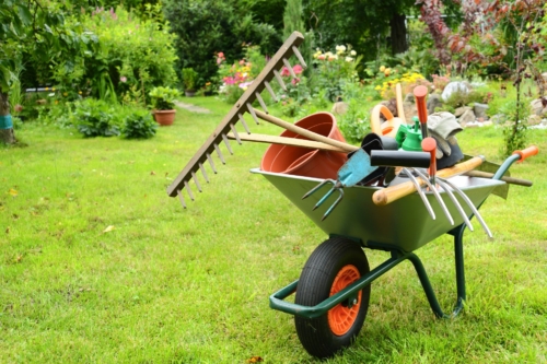 Schubkarre mit allerlei Gartenwerkzeug - von Harke über Handschuhe, Spaten und Gießkanne - steht auf dem Rasen eines aufgeräumten Gartens.
