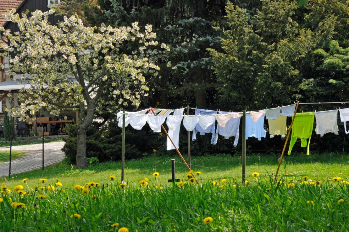 Wäscheleine mit Wäsche in einem Garten.