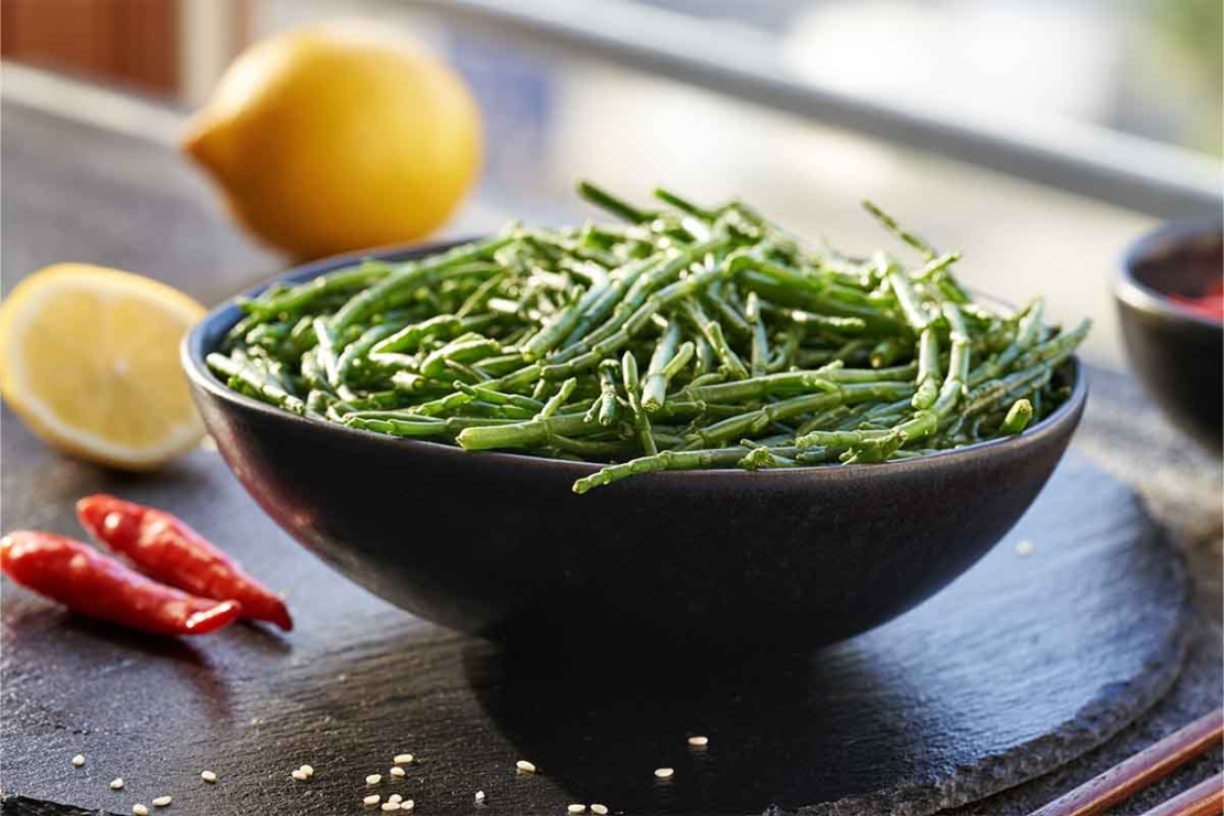 Salatschale mit Queller auf einem dunkeln Tisch mit einer Zitrone und Chili im Hintergrund [Foto: AdobeStock_Madeleine Steinbach]